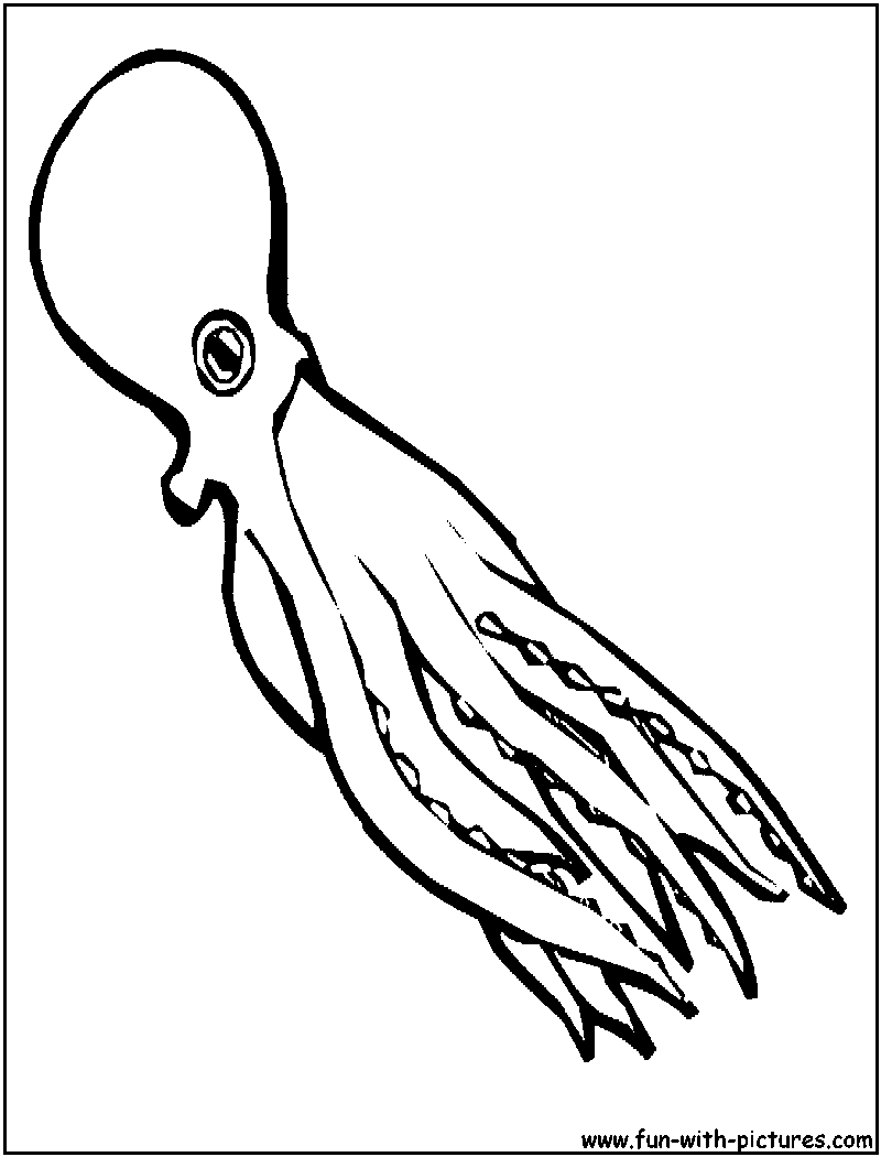 Squid Coloring Page 