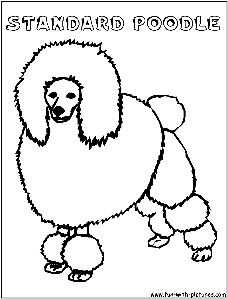 Standardpoodle Coloring Page 