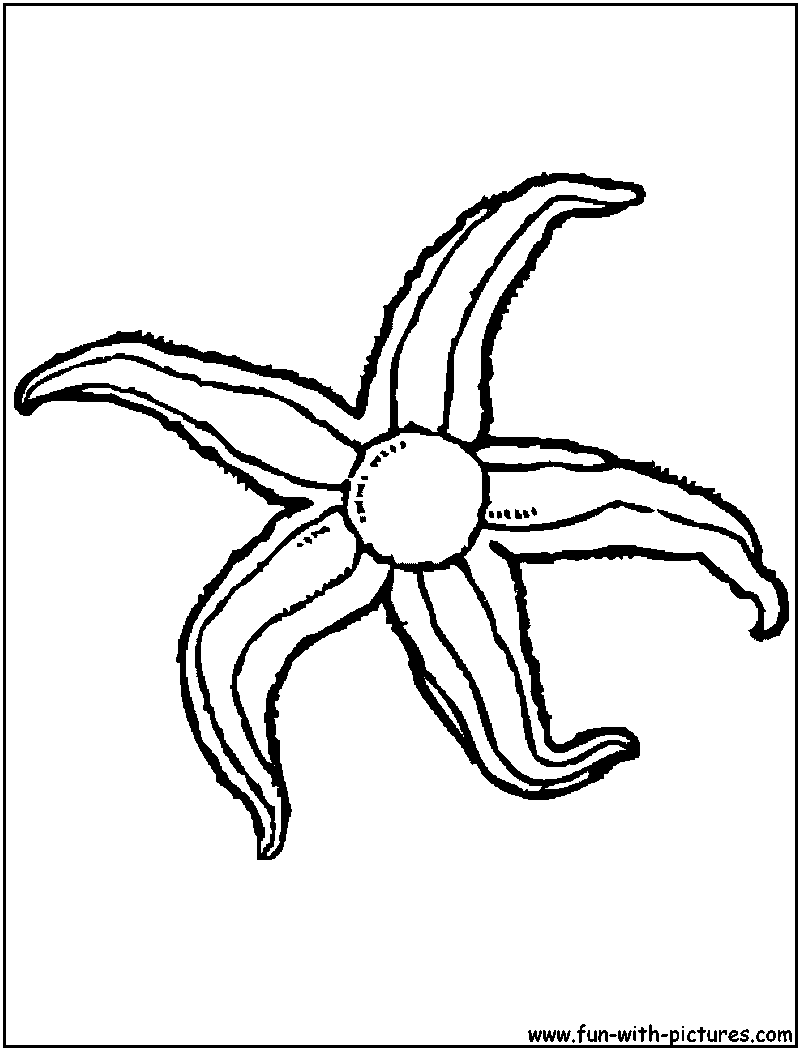 Starfish Coloring Page 