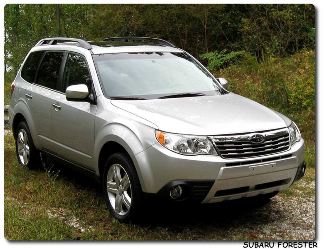 Subaru Forester Car 