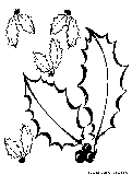 autumn leaves4