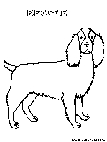 Beagle Coloring Page 