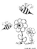 bees flowers