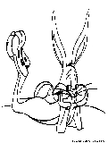 bugs bunny5