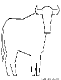 Bull Coloring Page 