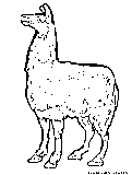 Cartoon Brown Llama Coloring Page 