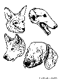 Dogfaces Coloring Page 