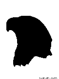 eaglehead silhouette