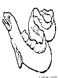 Eel Coloring Page 