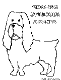 Englishspringerspaniel Coloring Page 