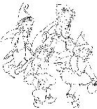 fairy coloring picture