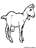 Goat Coloring Page 