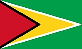 Guyana Flag  Coloring Page