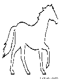 horse