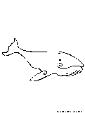 Humpback Whale Coloring Page 