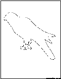 kite outline