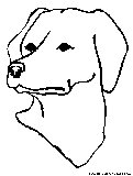 Labface Coloring Page 