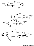 Lemon Shark Coloring Page 