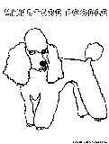 miniaturepoodle