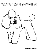 Miniaturepoodle Coloring Page 