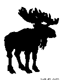 moose silhouette