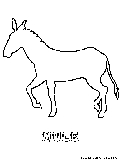 Mule Coloring Page 