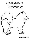 Norwegianelkhound Coloring Page 