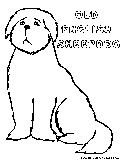 Oldenglishsheepdog Coloring Page 