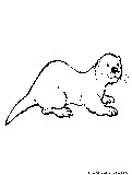 Otter Coloring Page 