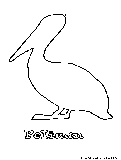 Pelican Coloring Page 