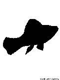 platy fish silhouette