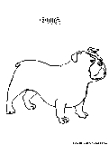 Pug Coloring Page 