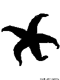 starfish2 silhouette