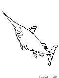 Swordfish Coloring Page 