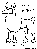 Toypoodle Coloring Page 