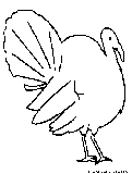 Turkey Coloring Page 