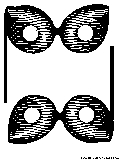 two venetian masks