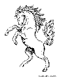 Wild Horse Coloring Page 