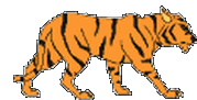Animal coloring pages - Tiger coloring pages