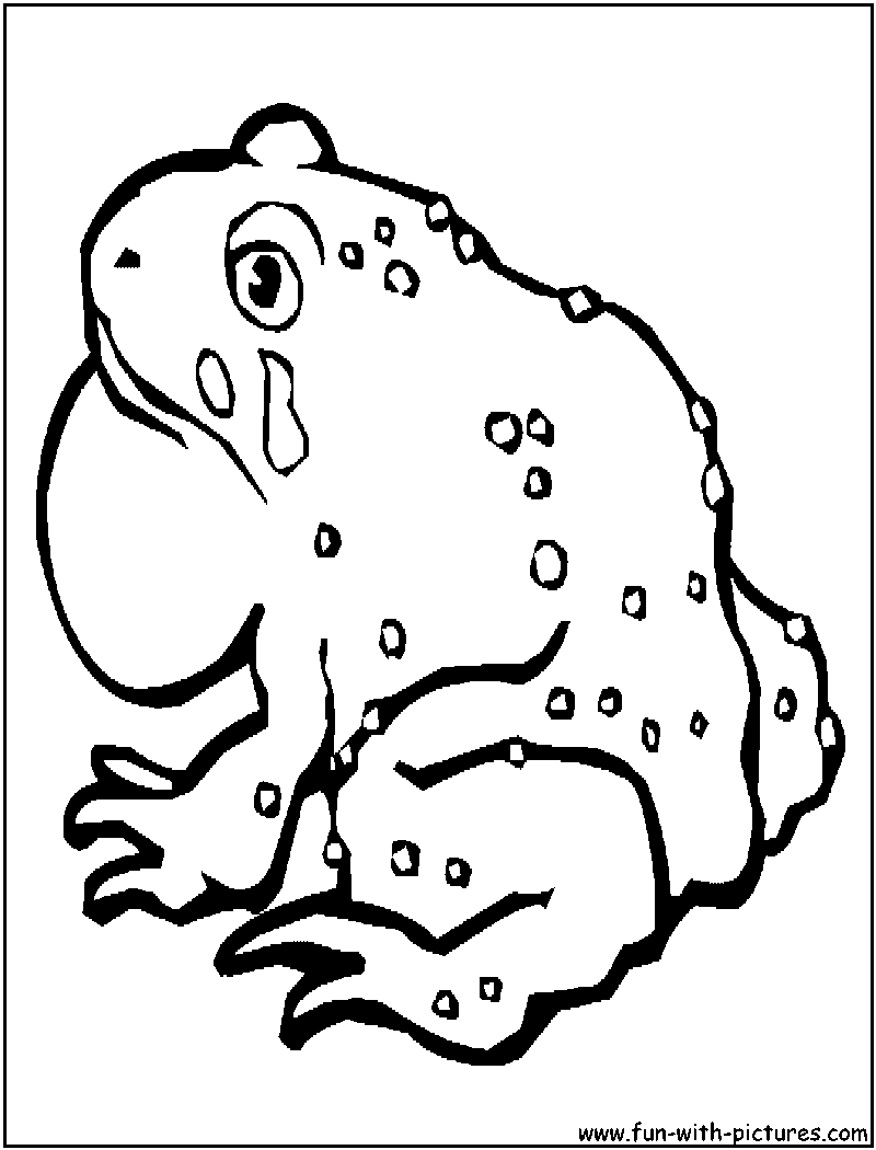 Toad Coloring Page 