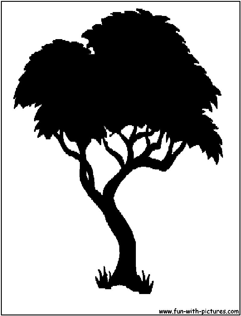 Tree Silhouette