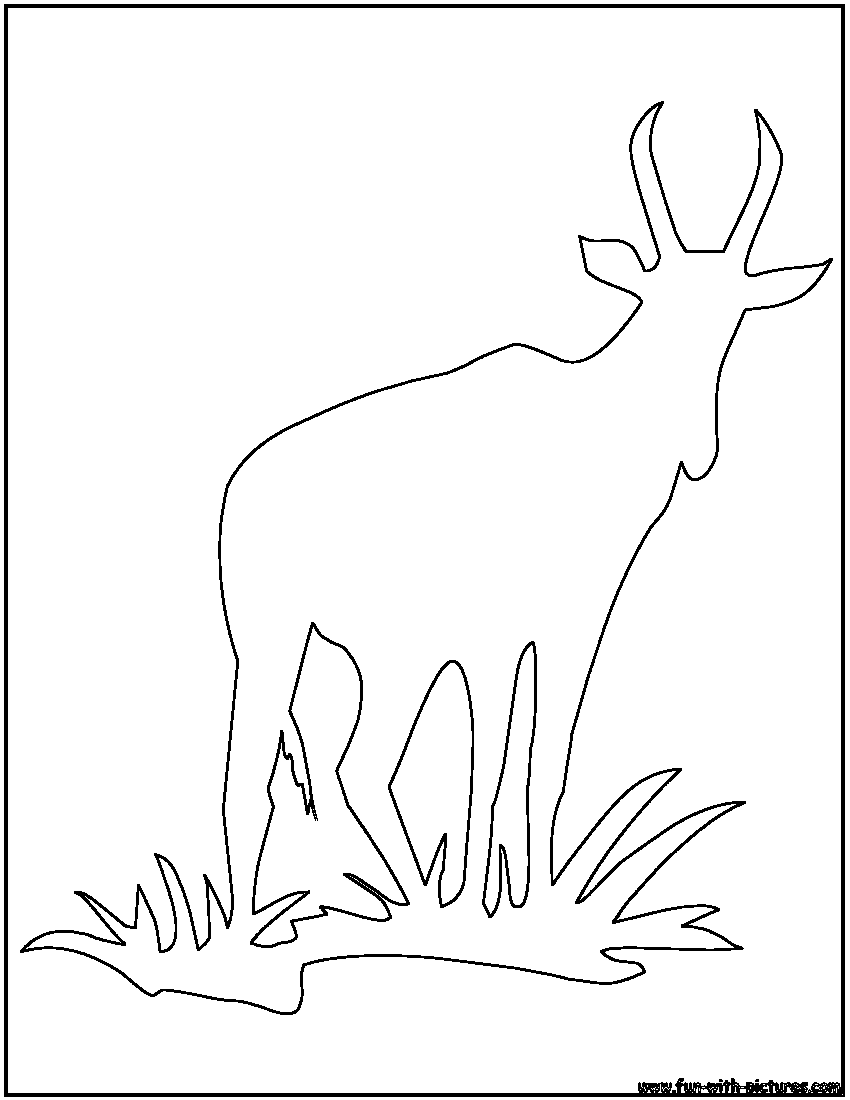 Waterbuck Outline Coloring Page 