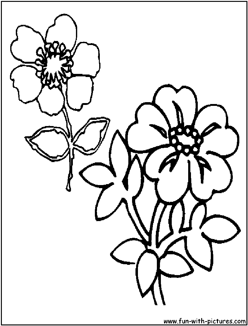 Wildflowers Coloring Page 