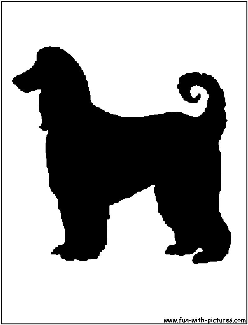 Afghanhound Silhouette