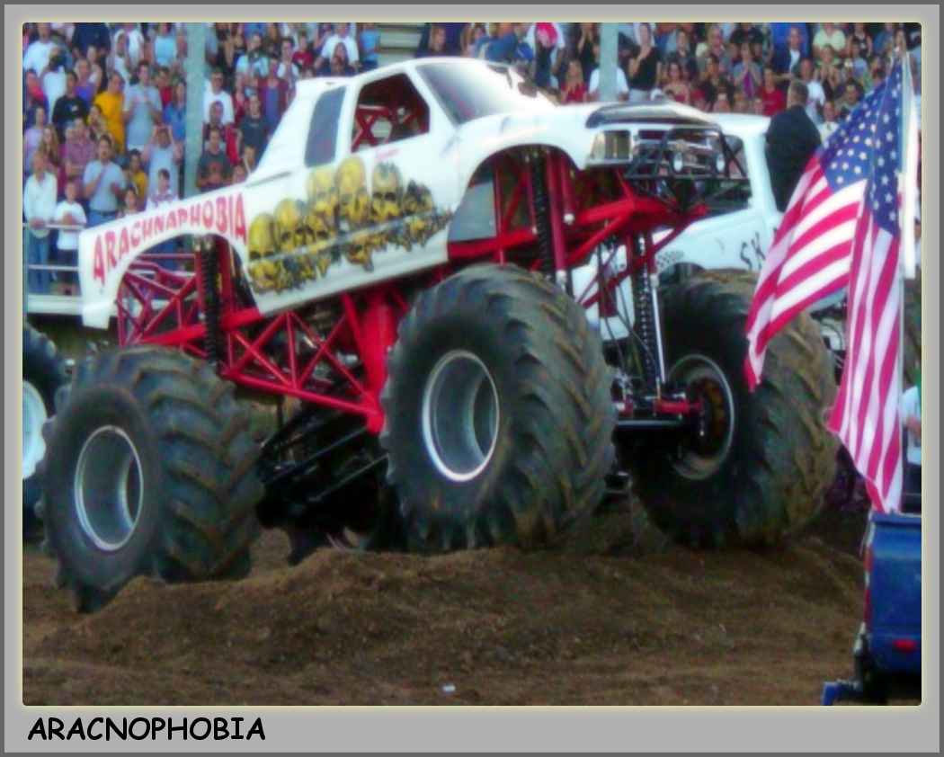 Aracnophobia Monster Truck 