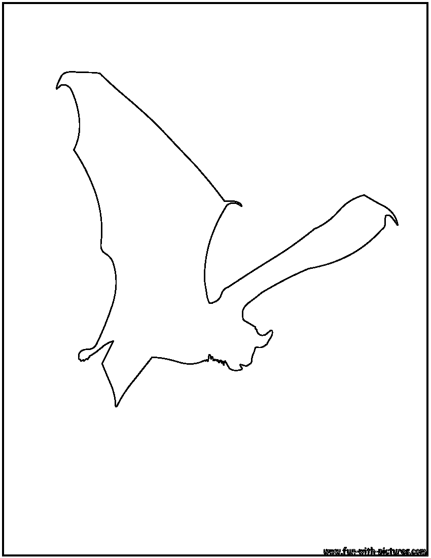 Bat Outline Coloring Page 