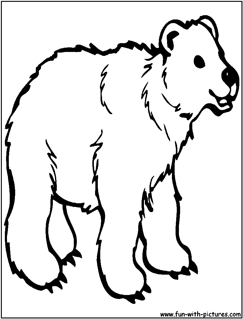 Bear Coloring Page 