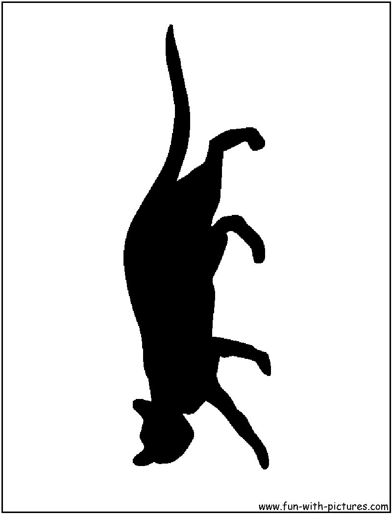 Black Cat Silhouette