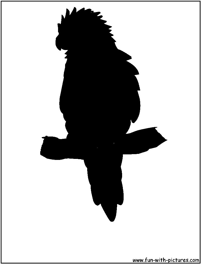 Budgerier Silhouette