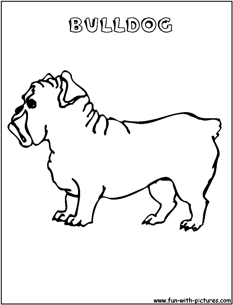 Bulldog Coloring Page 